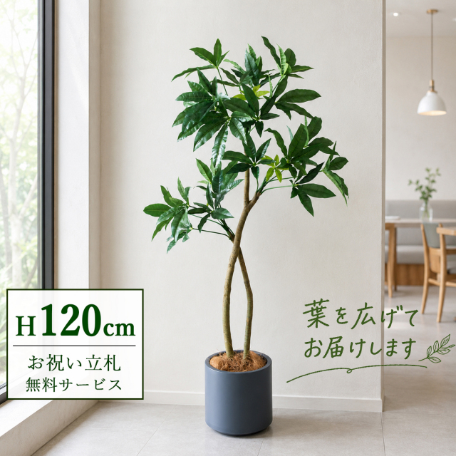【すぐ飾れる】 フェイクグリーン パキラ 120cm  鉢付き / 法人・開店祝い 店舗・オフィス装飾 空間演出 立札無料・造花/PG1001-FZO22GY