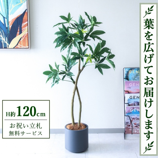 【すぐ飾れる】 フェイクグリーン パキラ H約120cm 鉢付き / 法人・開店祝い 店舗・オフィス装飾 空間演出 立札無料・造花/PG1001-FZO22GY
