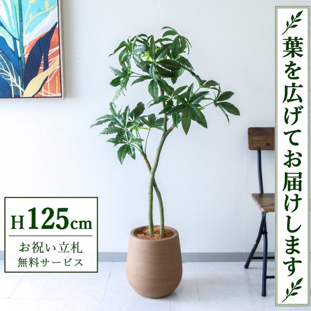 【すぐ飾れる】 フェイクグリーン パキラ H約125cm 鉢付き / 法人・開店祝い 店舗・オフィス装飾 空間演出 立札無料・造花/PG1001-KAO27LB