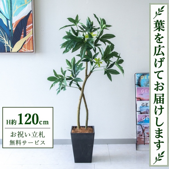 【すぐ飾れる】 フェイクグリーン パキラ H約120cm 鉢付き / 法人・開店祝い 店舗・オフィス装飾 空間演出 立札無料・造花/PG1001-Q20BK