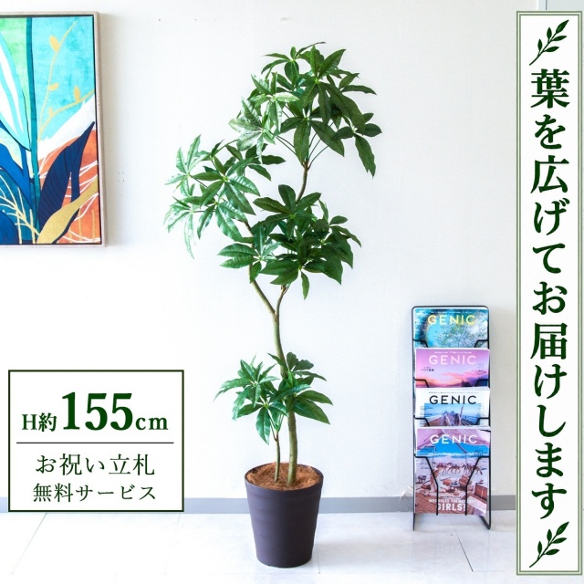 【すぐ飾れる】 フェイクグリーン パキラ H約155cm 鉢付き / 法人・開店祝い 店舗・オフィス装飾 空間演出 立札無料・造花/PG1002-B240BR
