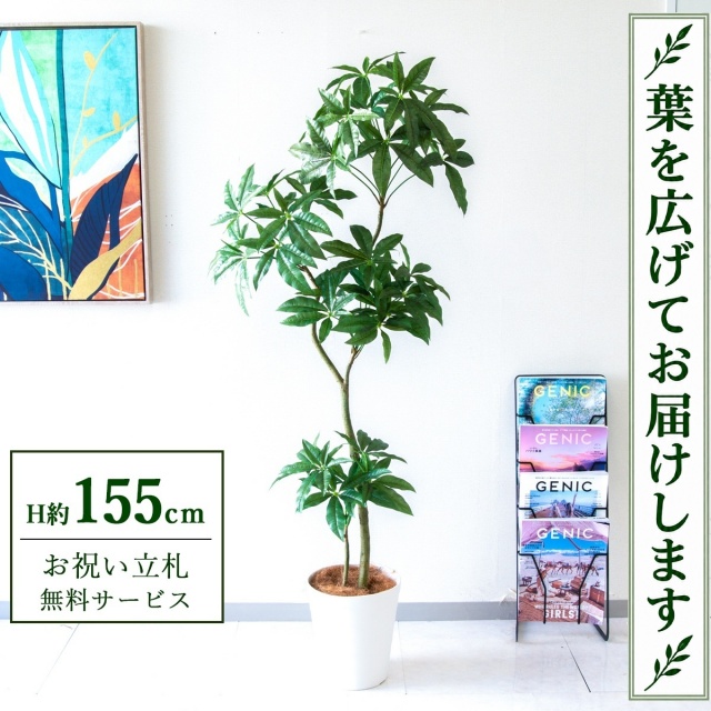 【すぐ飾れる】 フェイクグリーン パキラ H約155cm 鉢付き / 法人・開店祝い 店舗・オフィス装飾 空間演出 立札無料・造花/PG1002-B240WH