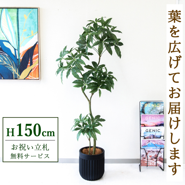 フェイクグリーン パキラ H約150cm  鉢付き / 人工観葉植物 観葉植物 フェイク 造花 大型 大きい 店舗 装飾 開店 開業 移転 祝い ギフト プレゼント おしゃれ 住宅展示場 モデルハウス オフィス 立札無料 /PG1002-BPK25BK