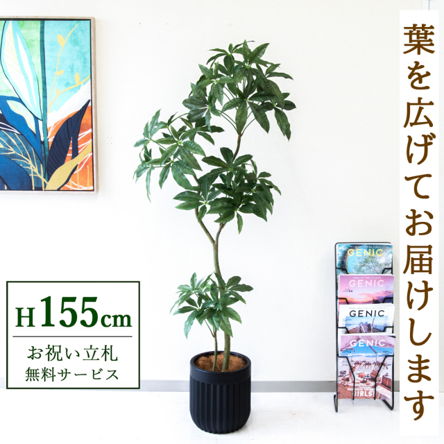 【すぐ飾れる】 フェイクグリーン パキラ 150cm  鉢付き / 法人・開店祝い 店舗・オフィス装飾 空間演出 立札無料・造花/PG1002-BPK25BK