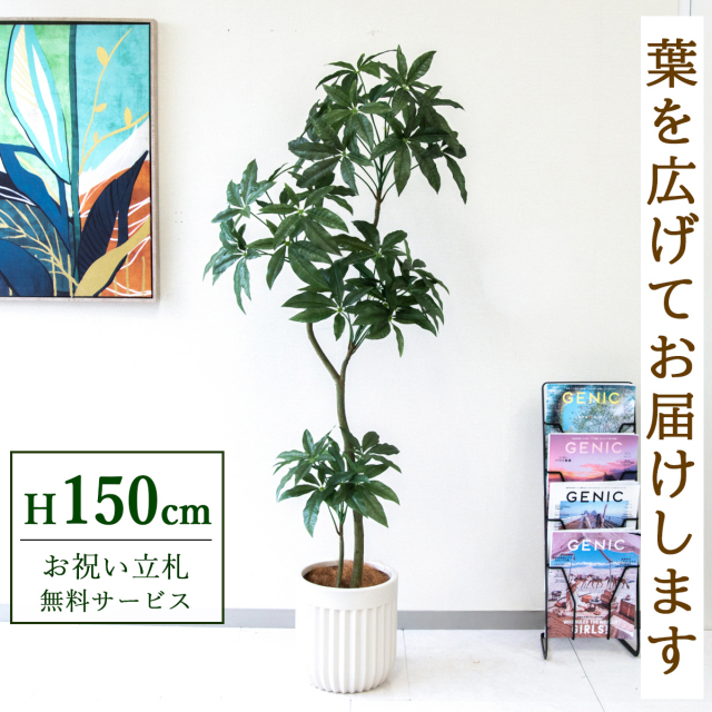 フェイクグリーン パキラ H約150cm  鉢付き / 人工観葉植物 観葉植物 フェイク 造花 大型 大きい 店舗 装飾 開店 開業 移転 祝い ギフト プレゼント おしゃれ 住宅展示場 モデルハウス オフィス 立札無料 /PG1002-BPK25IV