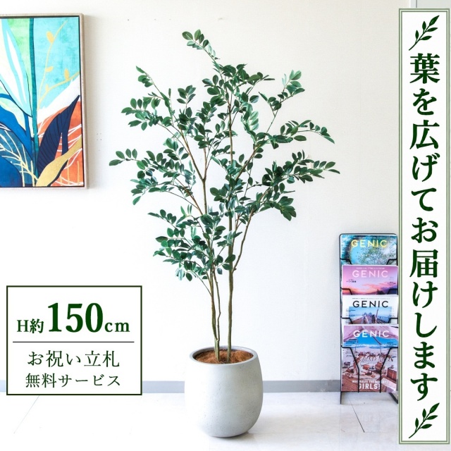 【すぐ飾れる】 フェイクグリーン フィカス ベンジャミン H約150cm 鉢付き / 法人・開店祝い 店舗・オフィス装飾 空間演出 立札無料・造花/PG1004-BAL30IV