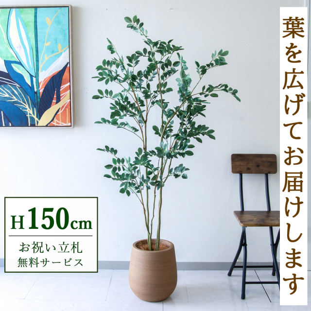 【すぐ飾れる】 フェイクグリーン フィカス ベンジャミン 150cm  鉢付き / 法人・開店祝い 店舗・オフィス装飾 空間演出 立札無料・造花/PG1004-KAO27LB
