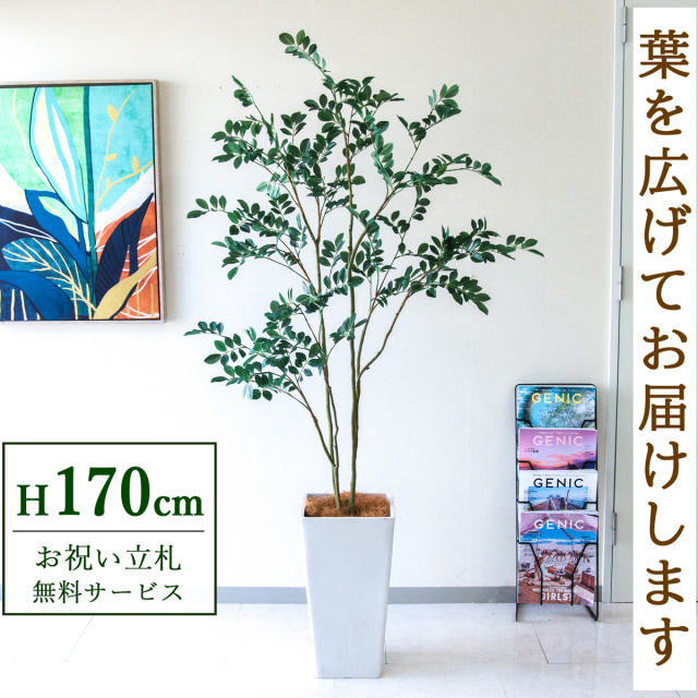 【すぐ飾れる】 フェイクグリーン フィカス ベンジャミン 170cm  大型 鉢付き / 法人・開店祝い 店舗・オフィス装飾 空間演出 立札無料・造花/PG1004-Q25WH