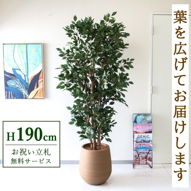 【すぐ飾れる】 フェイクグリーン フィカス ベンジャミン 190cm  大型 鉢付き / 法人・開店祝い 店舗・オフィス装飾 空間演出 立札無料・造花/PG1006-KAO38LB