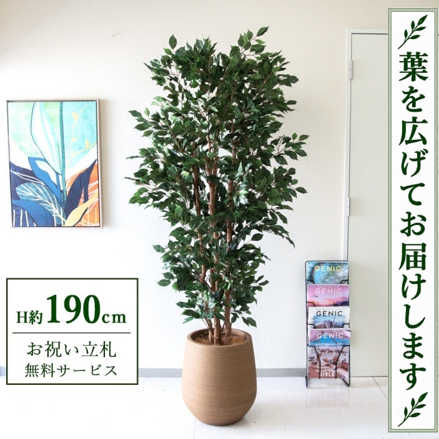 【すぐ飾れる】 フェイクグリーン フィカス ベンジャミン H約190cm 大型 鉢付き / 法人・開店祝い 店舗・オフィス装飾 空間演出 立札無料・造花/PG1006-KAO38LB