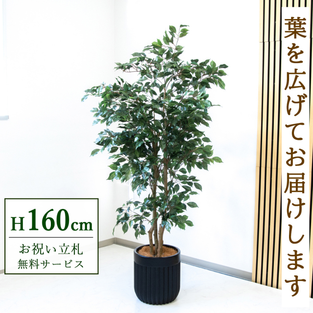 【すぐ飾れる】 フェイクグリーン フィカス ベンジャミン 160cm  鉢付き / 法人・開店祝い 店舗・オフィス装飾 空間演出 立札無料・造花/PG1007-BPK29BK