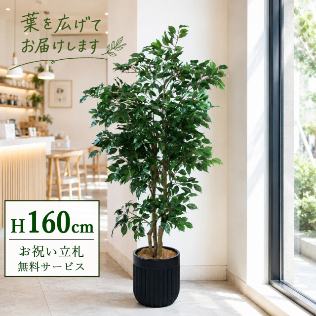 【すぐ飾れる】 フェイクグリーン フィカス ベンジャミン 160cm  鉢付き / 法人・開店祝い 店舗・オフィス装飾 空間演出 立札無料・造花/PG1007-BPK29BK