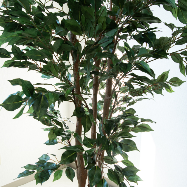 人工 観葉植物 フェイク グリーン ユッカポット H約120cm 店舗 装飾