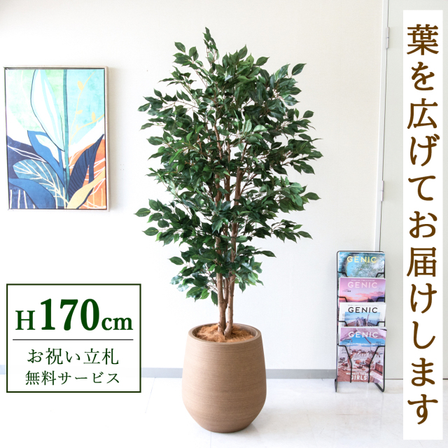 【すぐ飾れる】 フェイクグリーン フィカス ベンジャミン 170cm  大型 鉢付き / 法人・開店祝い 店舗・オフィス装飾 空間演出 立札無料・造花/PG1007-KAO38LB