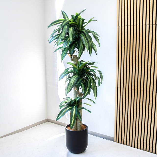人工 観葉植物 フェイク グリーン ユッカポット H約120cm 店舗 装飾