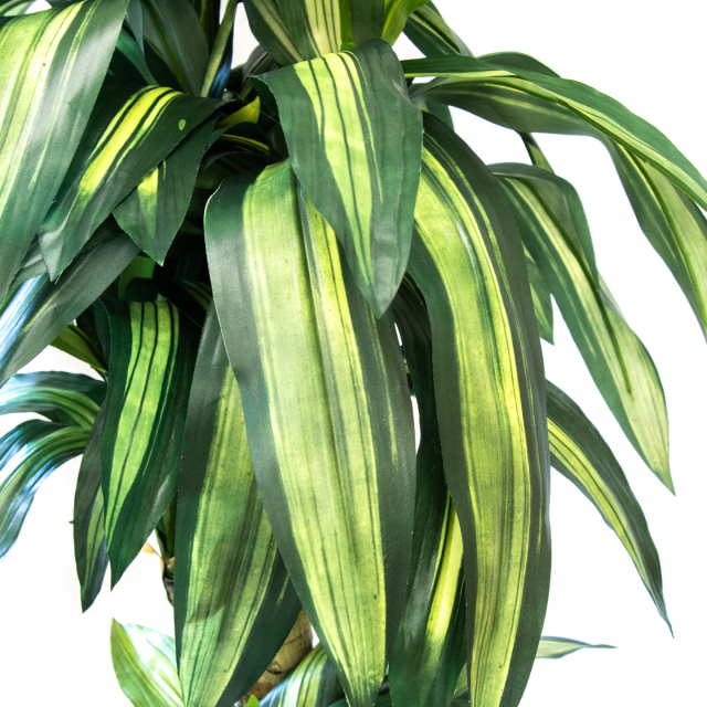 人工 観葉植物 フェイク グリーン ユッカポット H約120cm 店舗 装飾