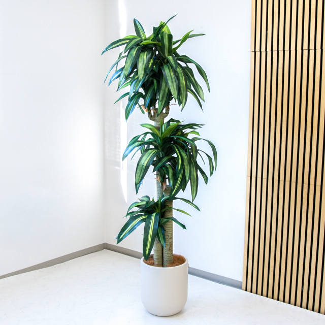 人工 観葉植物 フェイク グリーン ユッカポット H約120cm 店舗 装飾