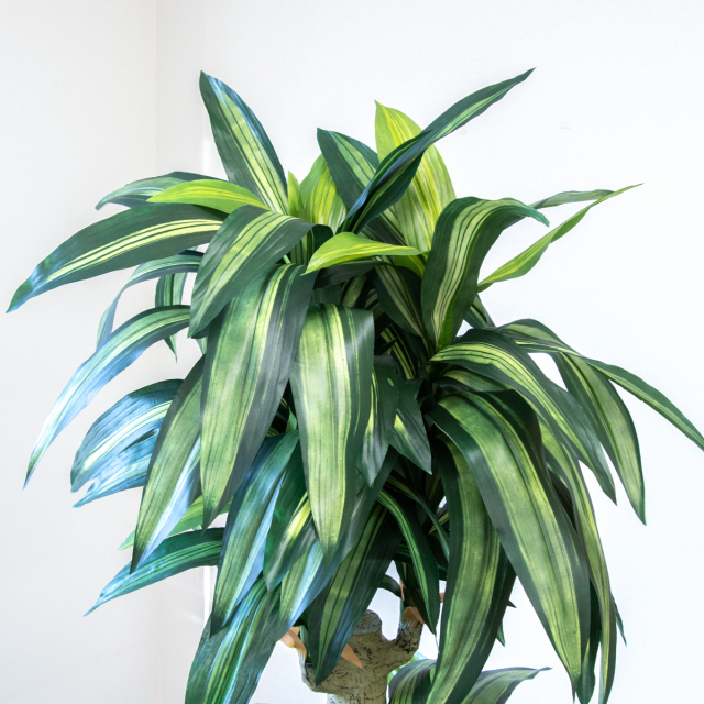 人工 観葉植物 フェイク グリーン ユッカポット H約120cm 店舗 装飾