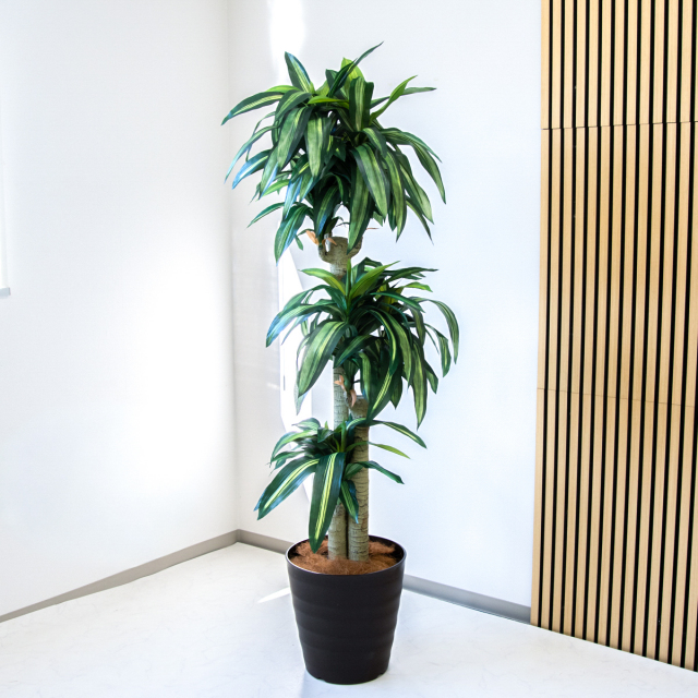 人工 観葉植物 フェイク グリーン ユッカポット H約120cm 店舗 装飾