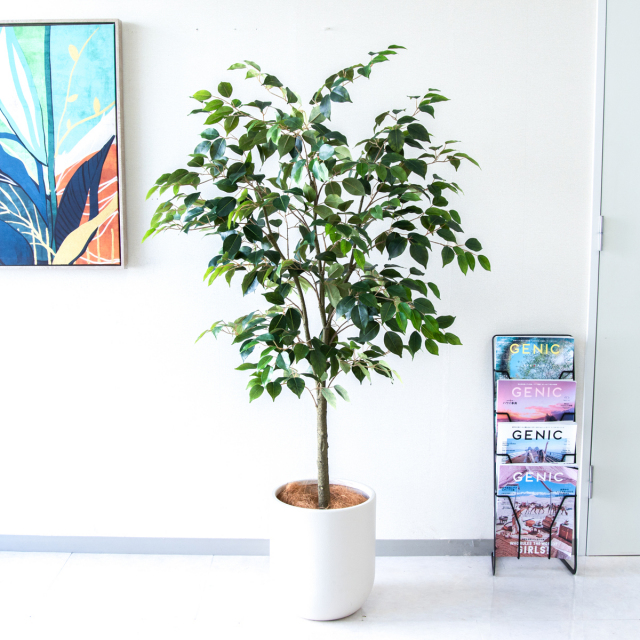 人工 観葉植物 フェイク グリーン ユッカポット H約120cm 店舗 装飾