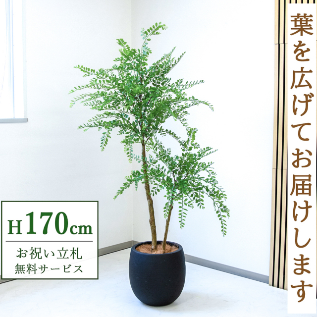 【すぐ飾れる】 フェイクグリーン トネリコ 170cm  大型 鉢付き / 法人・開店祝い 店舗・オフィス装飾 空間演出 立札無料・造花/PG1013-BAL35BK