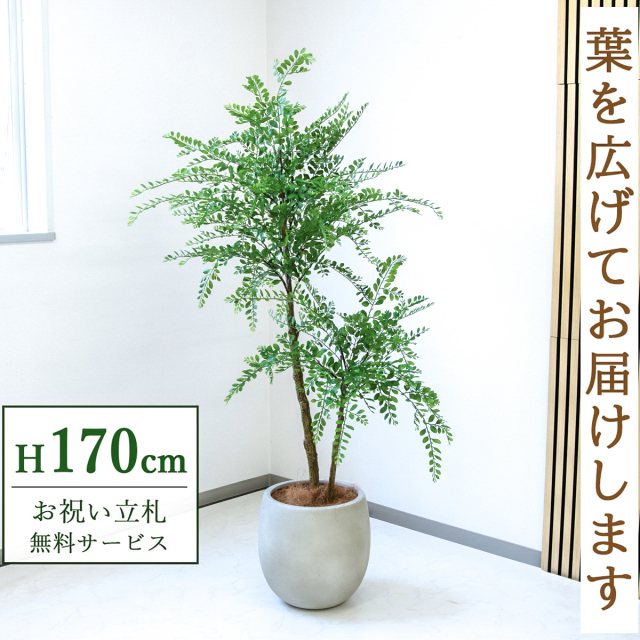 【すぐ飾れる】 フェイクグリーン トネリコ 170cm  大型 鉢付き / 法人・開店祝い 店舗・オフィス装飾 空間演出 立札無料・造花/PG1013-BAL35IV