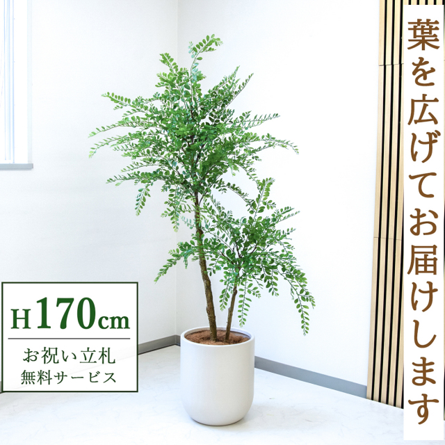 【すぐ飾れる】 フェイクグリーン トネリコ 170cm  大型 鉢付き / 法人・開店祝い 店舗・オフィス装飾 空間演出 立札無料・造花/PG1013-CHC33IV