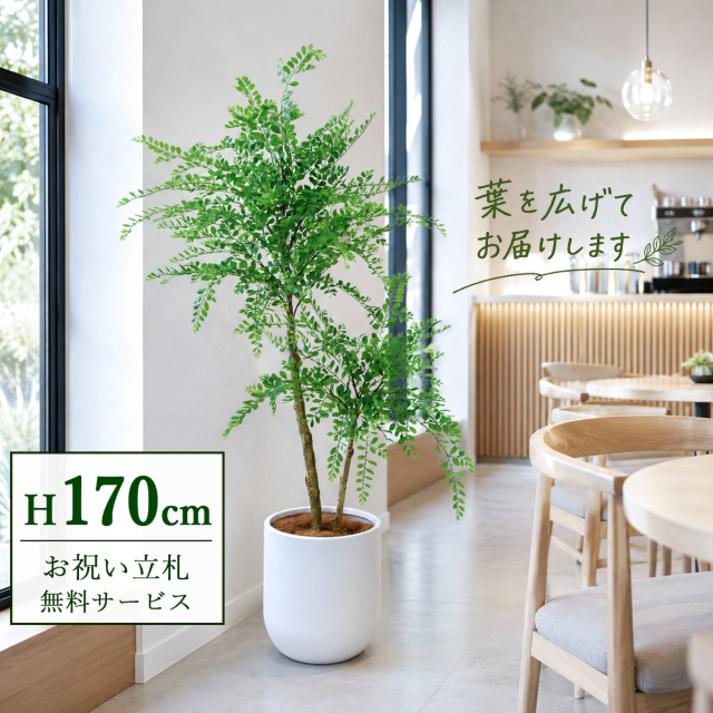 【すぐ飾れる】 フェイクグリーン トネリコ 170cm  大型 鉢付き / 法人・開店祝い 店舗・オフィス装飾 空間演出 立札無料・造花/PG1013-CHC33IV