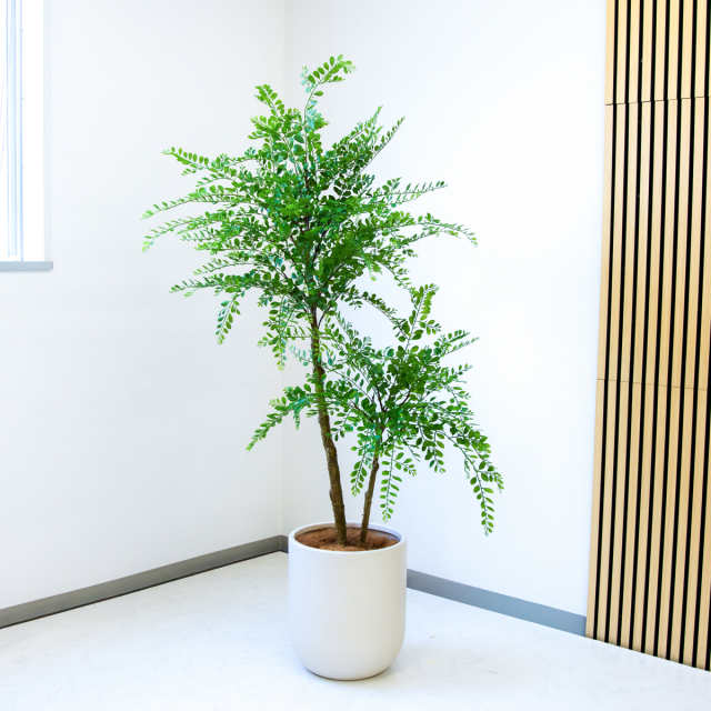 フェイクグリーン　170センチ フェイクグリーン オリーブ170cm （Olive tree ）
