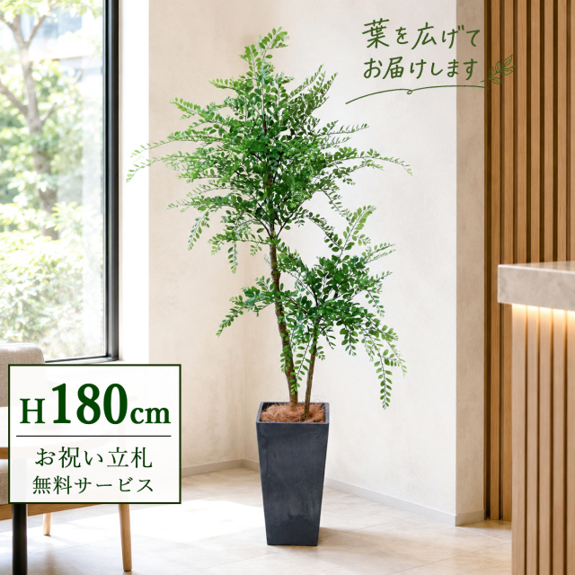 【すぐ飾れる】 フェイクグリーン トネリコ 180cm  大型 鉢付き / 法人・開店祝い 店舗・オフィス装飾 空間演出 立札無料・造花/PG1013-Q25BK