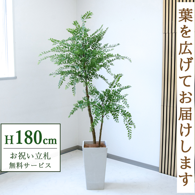 【すぐ飾れる】 フェイクグリーン トネリコ 180cm  大型 鉢付き / 法人・開店祝い 店舗・オフィス装飾 空間演出 立札無料・造花/PG1013-Q25WH