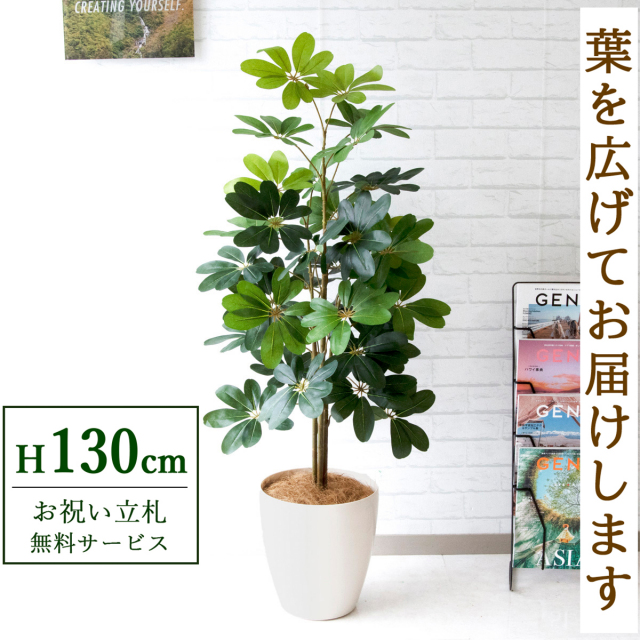 【すぐ飾れる】 フェイクグリーン シェフレラ カポック 130cm 鉢付き / 法人・開店祝い 店舗・オフィス装飾 空間演出 立札無料・造花/PG105-A265WH