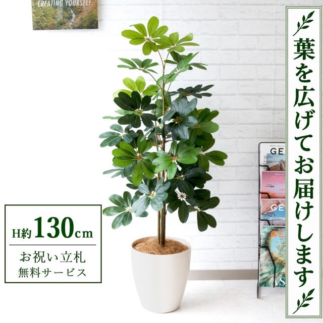 【すぐ飾れる】 フェイクグリーン シェフレラ カポック H約130cm 鉢付き / 法人・開店祝い 店舗・オフィス装飾 空間演出 立札無料・造花/PG105-A265WH