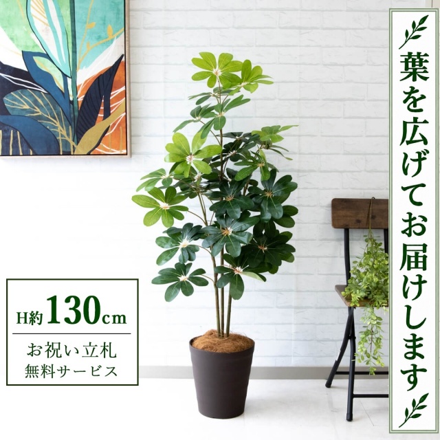 【すぐ飾れる】 フェイクグリーン シェフレラ カポック H約130cm 鉢付き / 法人・開店祝い 店舗・オフィス装飾 空間演出 立札無料・造花/PG105-B240BR