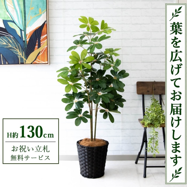 【すぐ飾れる】 フェイクグリーン シェフレラ カポック H約130cm 鉢付き / 法人・開店祝い 店舗・オフィス装飾 空間演出 立札無料・造花/PG105-MEL26DB