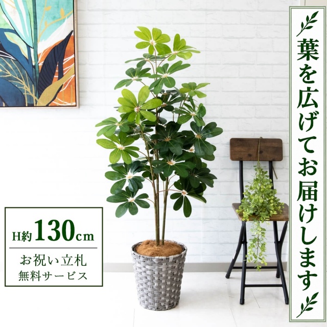 【すぐ飾れる】 フェイクグリーン シェフレラ カポック H約130cm 鉢付き / 法人・開店祝い 店舗・オフィス装飾 空間演出 立札無料・造花/PG105-MEL26GY