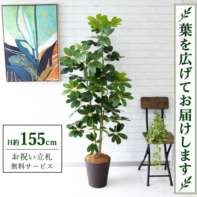【すぐ飾れる】 フェイクグリーン シェフレラ カポック H約155cm 鉢付き / 法人・開店祝い 店舗・オフィス装飾 空間演出 立札無料・造花/PG106-B240BR