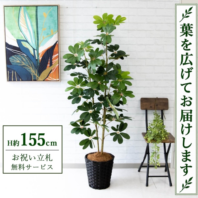 【すぐ飾れる】 フェイクグリーン シェフレラ カポック H約155cm 鉢付き / 法人・開店祝い 店舗・オフィス装飾 空間演出 立札無料・造花/PG106-MEL26DB