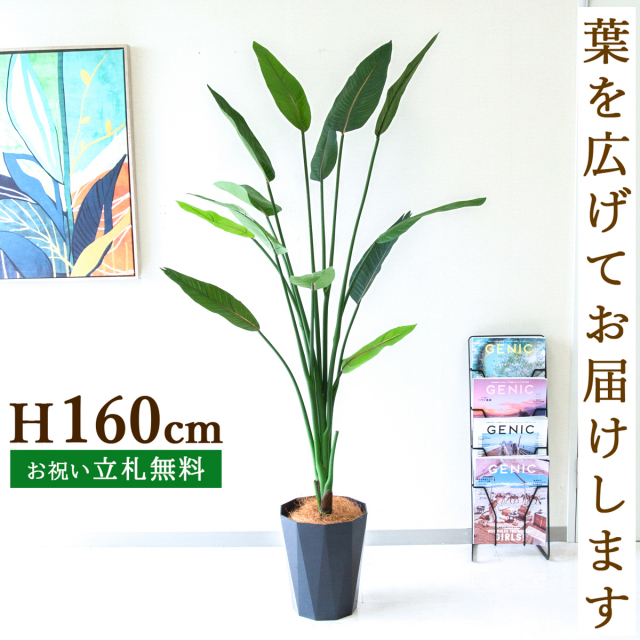 フェイクグリーン ストレチア H約160cm 鉢付き / 観葉植物 フェイク 人工観葉植物 造花 店舗 装飾 開店 開業 移転 祝い ギフト プレゼント おしゃれ 住宅展示場 モデルハウス オフィス 立札無料 PG122-C240BK