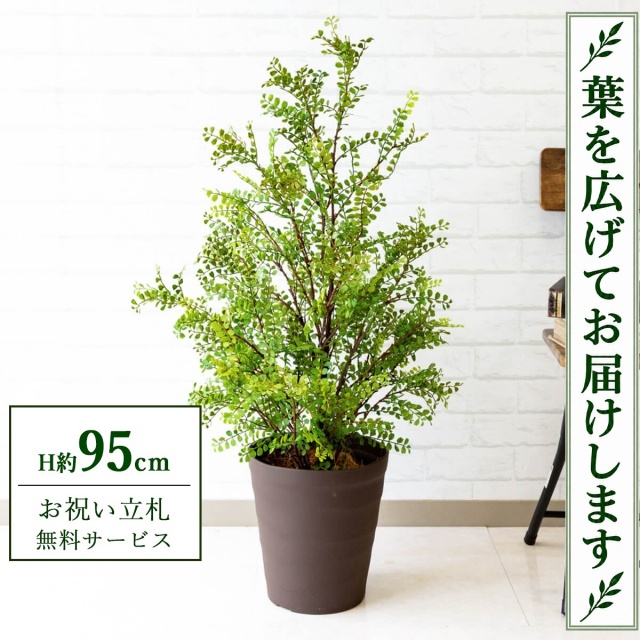 【すぐ飾れる】 フェイクグリーン シルクジャスミン H約95cm 鉢付き / 法人・開店祝い 店舗・オフィス装飾 空間演出 立札無料・造花/PG141-B240BR