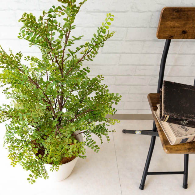 人工 観葉植物 フェイク グリーン シルクジャスミン H約95cm 店舗 装飾