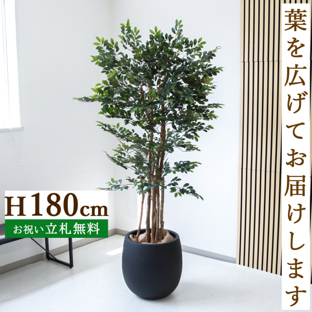フェイクグリーン トネリコツリー H約180cm  鉢付き / 人工観葉植物 観葉植物 フェイク 造花 大型 大きい 店舗 装飾 開店 開業 移転 祝い ギフト プレゼント おしゃれ 住宅展示場 モデルハウス オフィス 立札無料 PG146-BAL42BK