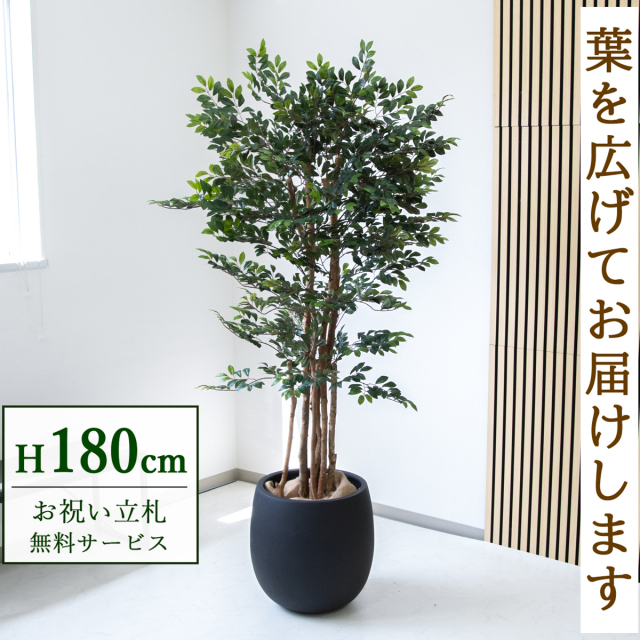 フェイクグリーン トネリコツリー H約180cm  鉢付き / 人工観葉植物 観葉植物 フェイク 造花 大型 大きい 店舗 装飾 開店 開業 移転 祝い ギフト プレゼント おしゃれ 住宅展示場 モデルハウス オフィス 立札無料 /PG146-BAL42BK