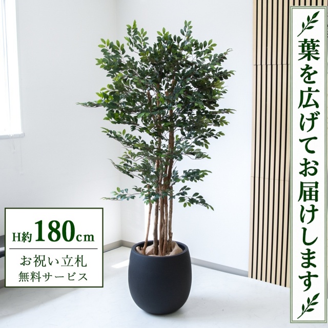 【すぐ飾れる】 フェイクグリーン トネリコツリー H約180cm 大型 鉢付き / 法人・開店祝い 店舗・オフィス装飾 空間演出 立札無料・造花/PG146-BAL42BK