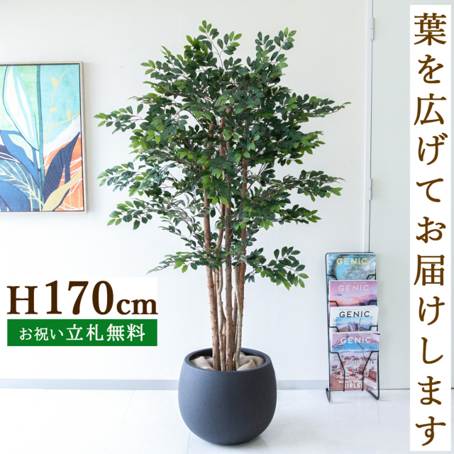 フェイクグリーン トネリコツリー H約170cm 鉢付き / 人工観葉植物 観葉植物 フェイク 造花 大型 大きい 店舗 装飾 開店 開業 移転 祝い ギフト プレゼント おしゃれ 住宅展示場 モデルハウス オフィス 立札無料 /PG146-D42BK