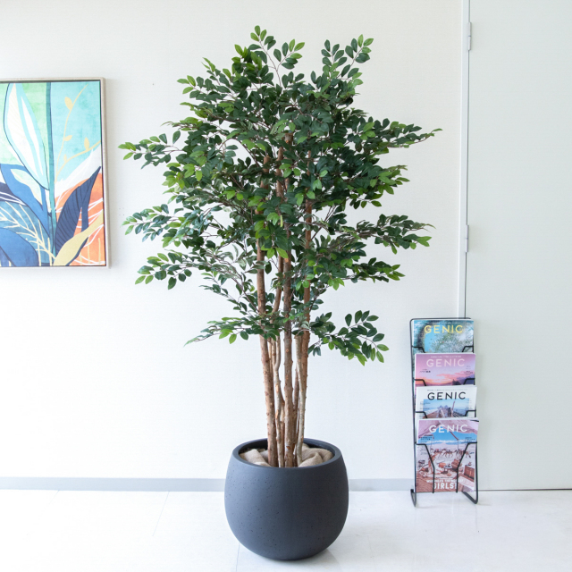 人工 観葉植物 フェイク グリーン ベンジャミンフィカスツリー H約