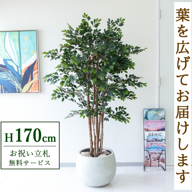 フェイクグリーン トネリコツリー H約170cm 鉢付き / 人工観葉植物 観葉植物 フェイク 造花 大型 大きい 店舗 装飾 開店 開業 移転 祝い ギフト プレゼント おしゃれ 住宅展示場 モデルハウス オフィス 立札無料 /PG146-D42IV