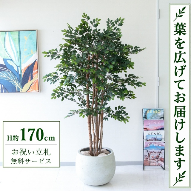 【すぐ飾れる】 フェイクグリーン トネリコツリー H約170cm 大型 鉢付き / 法人・開店祝い 店舗・オフィス装飾 空間演出 立札無料・造花/PG146-D42IV