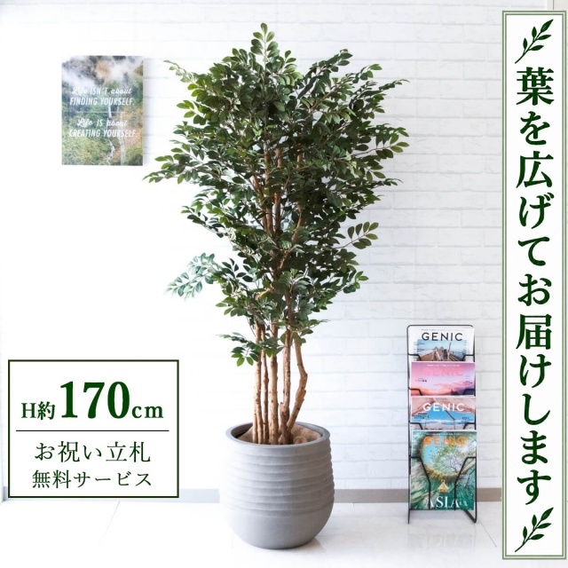 【すぐ飾れる】 フェイクグリーン トネリコツリー H約170cm 大型 鉢付き / 法人・開店祝い 店舗・オフィス装飾 空間演出 立札無料・造花/PG146-J40