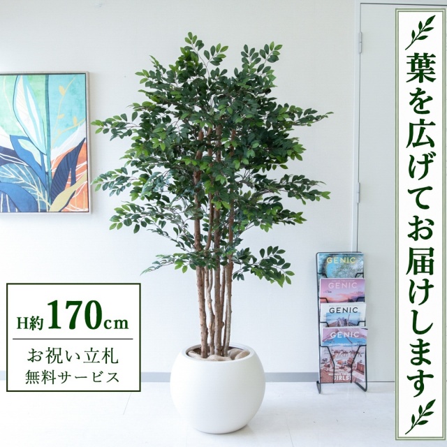 【すぐ飾れる】 フェイクグリーン トネリコツリー H約170cm 大型 鉢付き / 法人・開店祝い 店舗・オフィス装飾 空間演出 立札無料・造花/PG146-ROM43IV